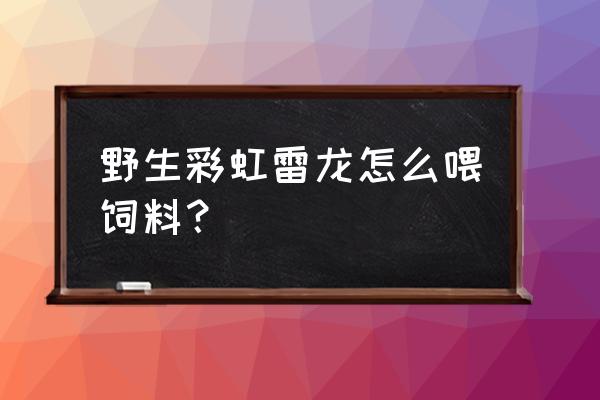 彩虹雷龙吃什么饲料 野生彩虹雷龙怎么喂饲料？