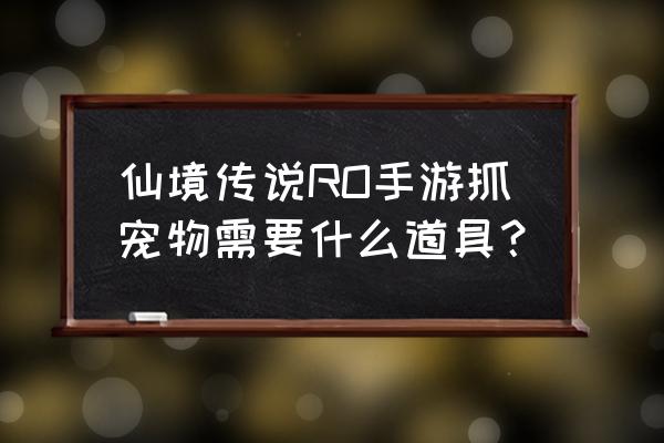 仙境传说捕捉工具在哪打 仙境传说RO手游抓宠物需要什么道具？