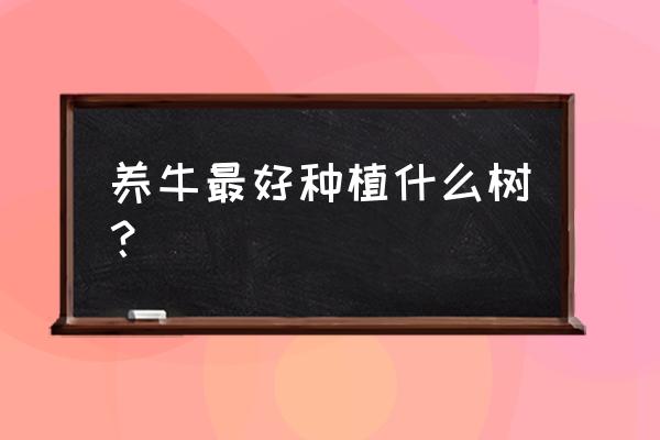 养牛场绿化种什么树好 养牛最好种植什么树？