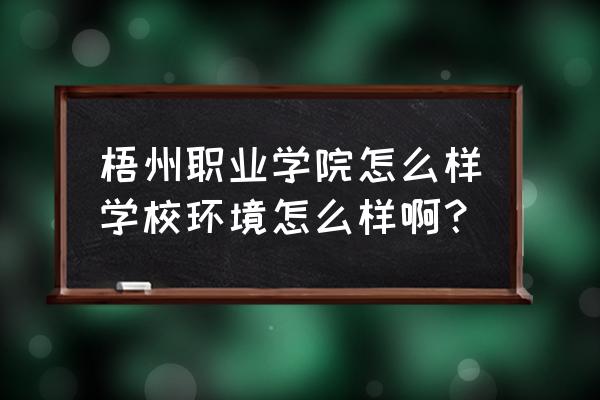 梧州职业学院怎么样 梧州职业学院怎么样学校环境怎么样啊？