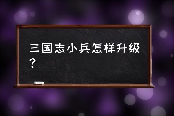 开局一个小兵属性加点 三国志小兵怎样升级？