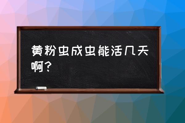 黄粉虫成虫几天能孵化出来 黄粉虫成虫能活几天啊？