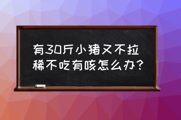 猪咳嗽就拉稀怎么回事 有30斤小猪又不拉稀不吃有咳怎么办？