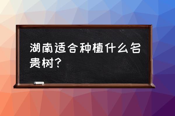 广西十大名贵树 湖南适合种植什么名贵树？