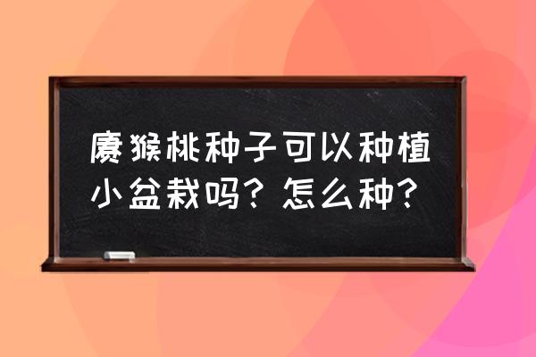 猕猴桃里的种子怎么种最好 猕猴桃种子可以种植小盆栽吗？怎么种？