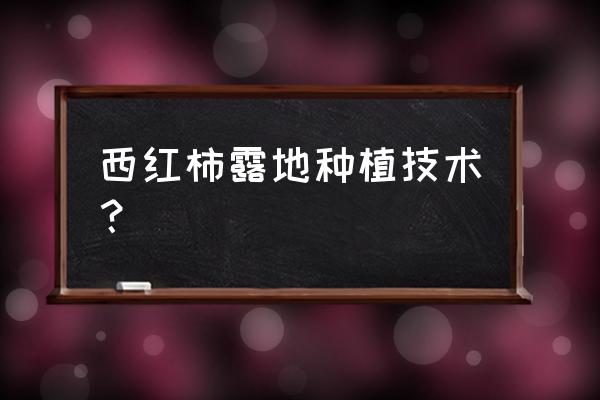 露地花卉的栽培养护要点 西红柿露地种植技术？