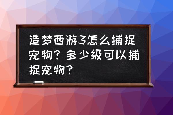 如何打开捕捉宠物的地方 造梦西游3怎么捕捉宠物？多少级可以捕捉宠物？