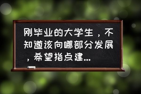 毕业面试必备100个秘诀 刚毕业的大学生，不知道该向哪部分发展，希望指点建议。谢谢？