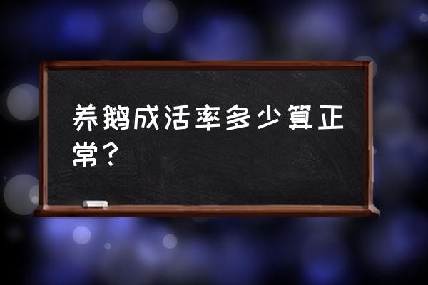 养鹅几月份买鹅苗好 养鹅成活率多少算正常？