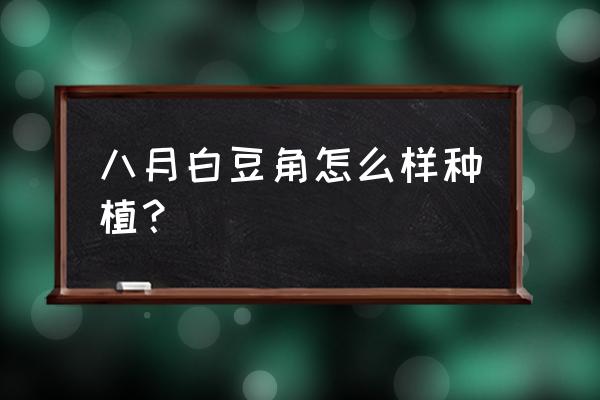 扁豆冬天如何让它生长 八月白豆角怎么样种植？