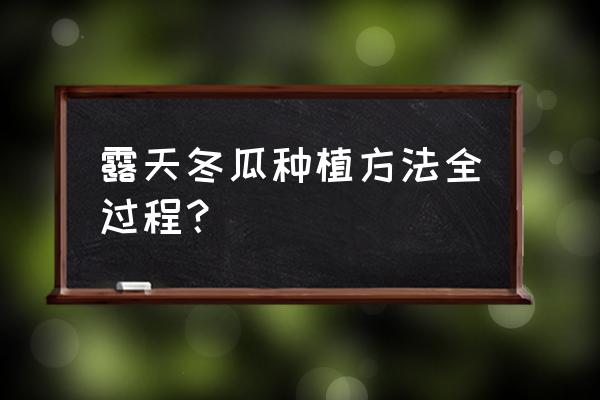 冬瓜种植管理技术全过程 露天冬瓜种植方法全过程？