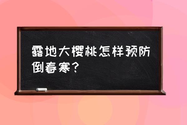 倒春寒适合吃什么水果 露地大樱桃怎样预防倒春寒？