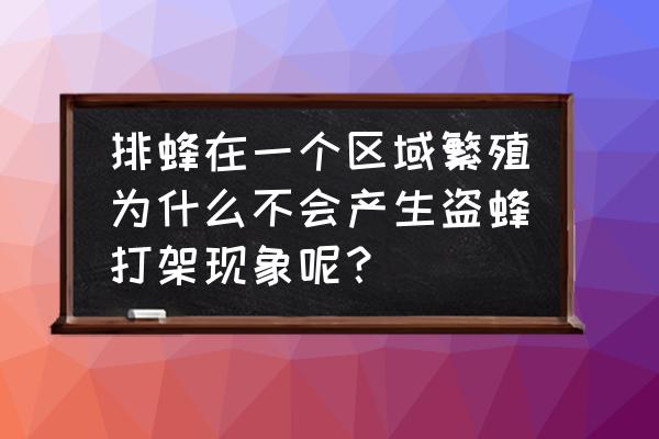 发生盗蜂是怎样的现象 排蜂在一个区域繁殖为什么不会产生盗蜂打架现象呢？