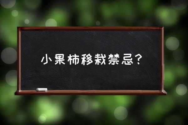 柿子树种到院子里禁忌 小果柿移栽禁忌？