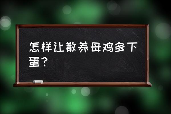 笼养蛋鸡能不能每天喂菜叶 怎样让散养母鸡多下蛋？