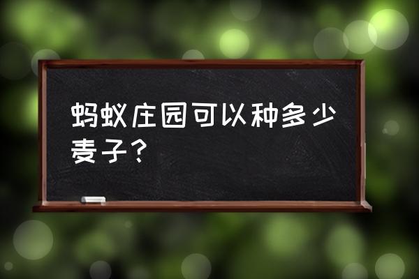 蚂蚁庄园饲料容量升级规则 蚂蚁庄园可以种多少麦子？