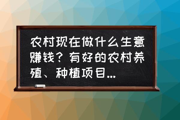 农业种植什么项目前景好挣钱多 农村现在做什么生意赚钱？有好的农村养殖、种植项目推荐吗？