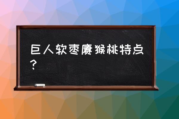 软枣猕猴桃吃多了好不好 巨人软枣猕猴桃特点？