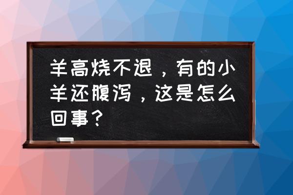 羊高烧不退怎么办最快解决方法 羊高烧不退，有的小羊还腹泻，这是怎么回事？