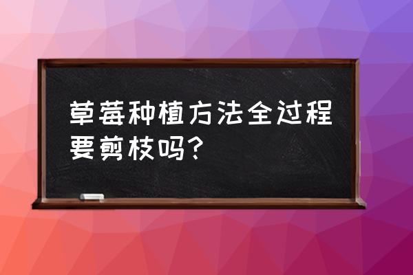 草莓生长过程中需要剪枝么 草莓种植方法全过程要剪枝吗？