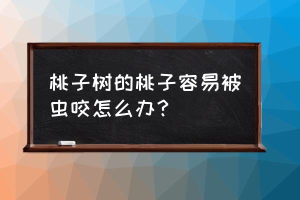 桃病虫害的防治方法 桃子树的桃子容易被虫咬怎么办？