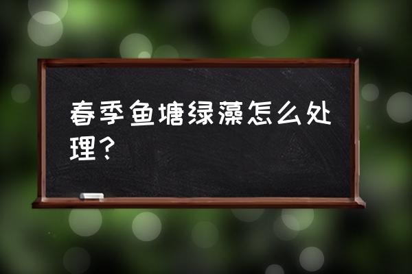 鱼塘水面有绿藻怎么办 春季鱼塘绿藻怎么处理？