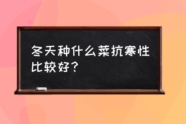 冬天的时令蔬菜 冬天种什么菜抗寒性比较好？