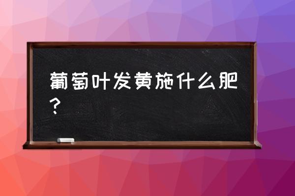 葡萄什么时间上锌肥 葡萄叶发黄施什么肥？