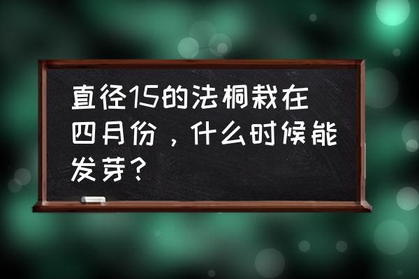 法桐冬季移栽什么时间好 直径15的法桐栽在四月份，什么时候能发芽？