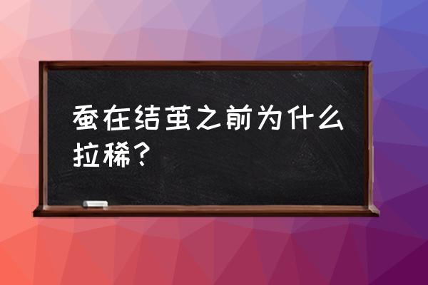 蚕拉稀怎么还动不了啦 蚕在结茧之前为什么拉稀？