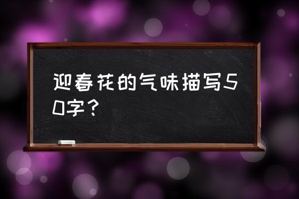 迎春花的特征简短 迎春花的气味描写50字？