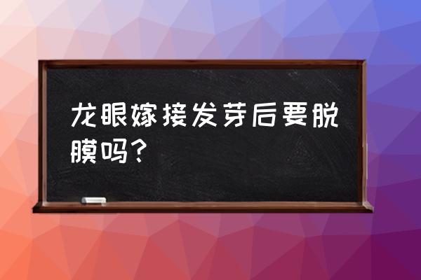 根部嫁接的嫁接带需要去除吗 龙眼嫁接发芽后要脱膜吗？