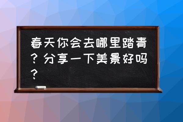 中华珍宝馆山水画高清 春天你会去哪里踏青？分享一下美景好吗？