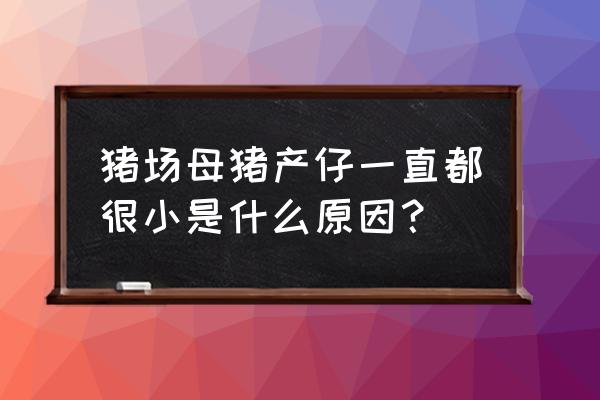 如何提高母猪产仔数量 猪场母猪产仔一直都很小是什么原因？