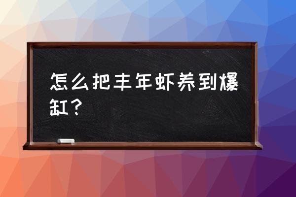 丰年虾的饲养方法和注意事项 怎么把丰年虾养到爆缸？