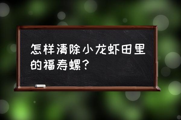 鱼塘福寿螺怎么彻底消灭 怎样清除小龙虾田里的福寿螺？