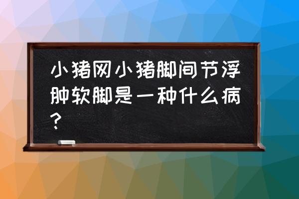 猪水肿发病最快时间 小猪网小猪脚间节浮肿软脚是一种什么病？