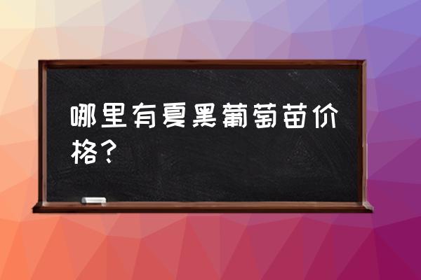 葡萄苗批发哪里最便宜 哪里有夏黑葡萄苗价格？