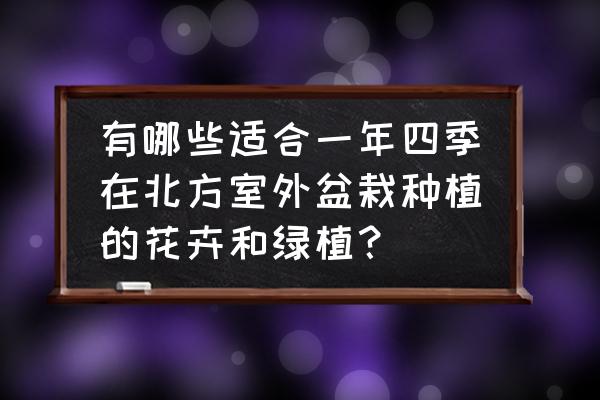 什么种子适合春天播种容易生长 有哪些适合一年四季在北方室外盆栽种植的花卉和绿植？