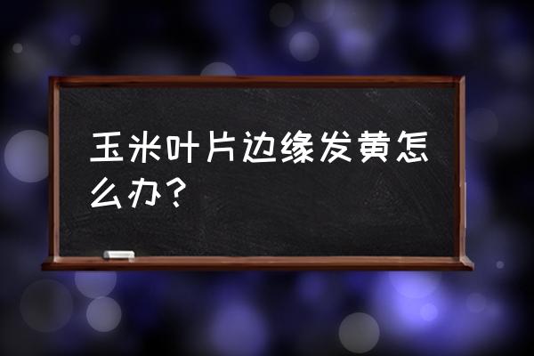 玉米后期黄叶是什么病怎么防治 玉米叶片边缘发黄怎么办？